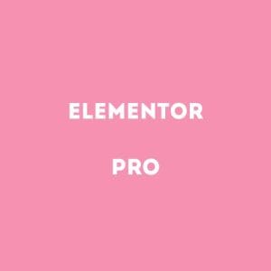 Elementor PRO